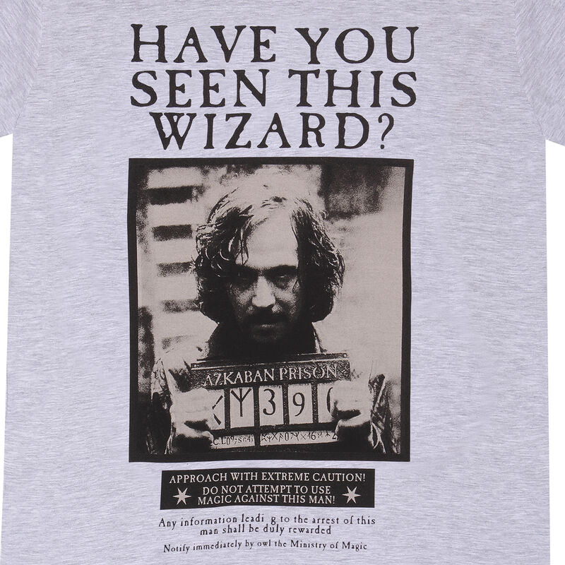Harry Potter - Sirius Black Poster - T-Shirt Grey