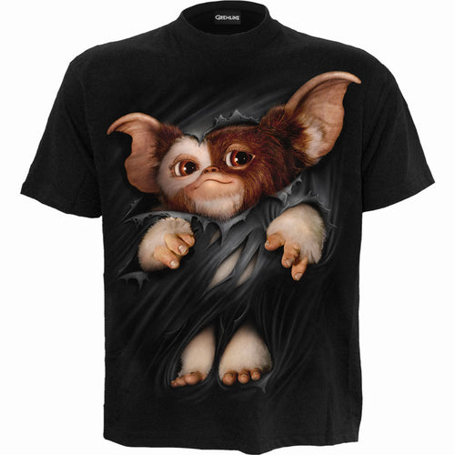 Gremlins - Gizmo - T-shirt à imprimé avant noir