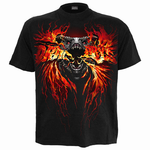 Got - Fire and Blood - T -Shirt Black