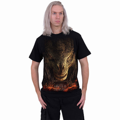 HOUSE OF DRAGONS - DRAGON THRONE - T-SHIRT