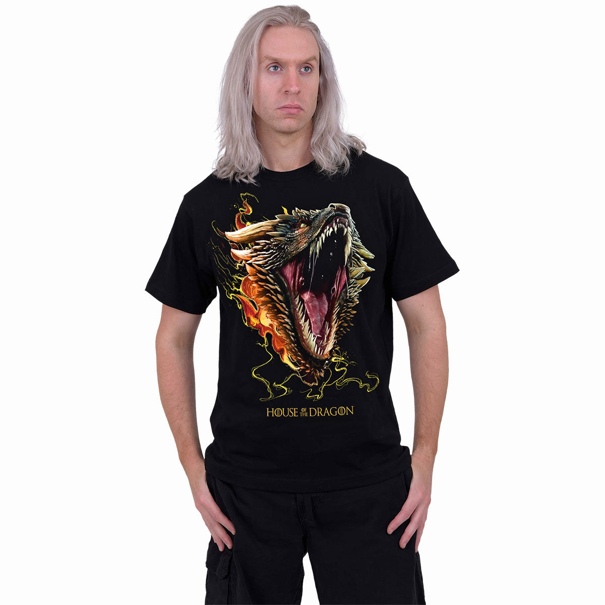 HOUSE OF DRAGONS - DROGON - T-SHIRT